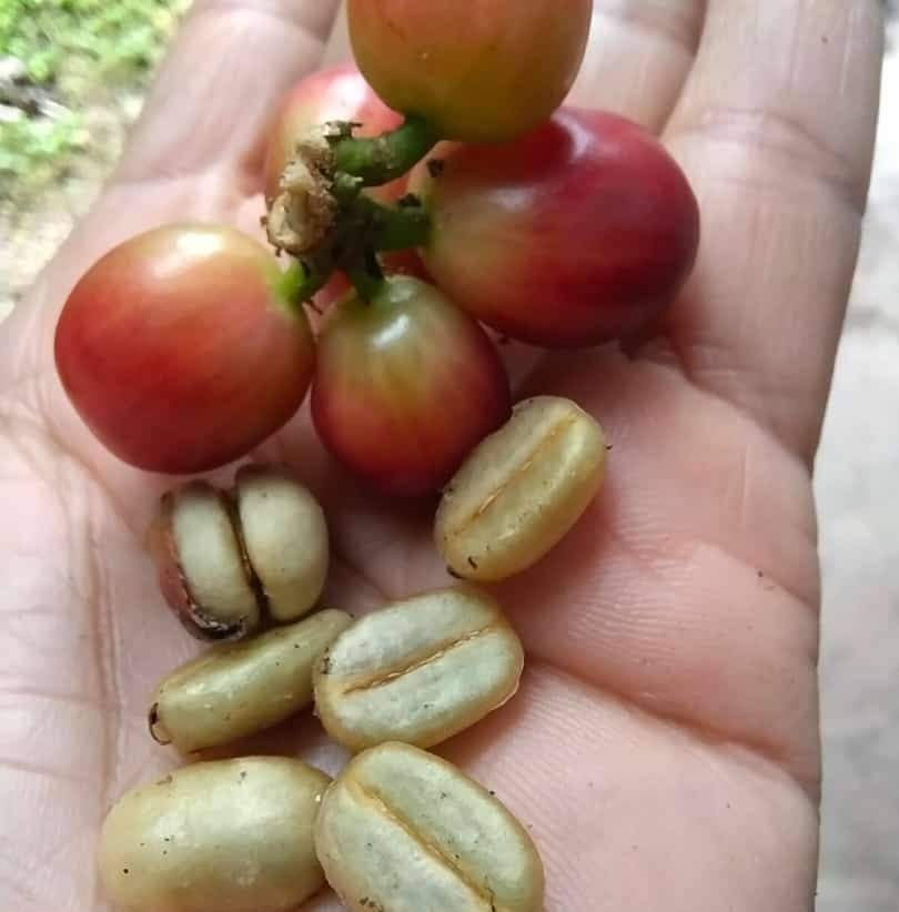 FB_IMG_1698120583674