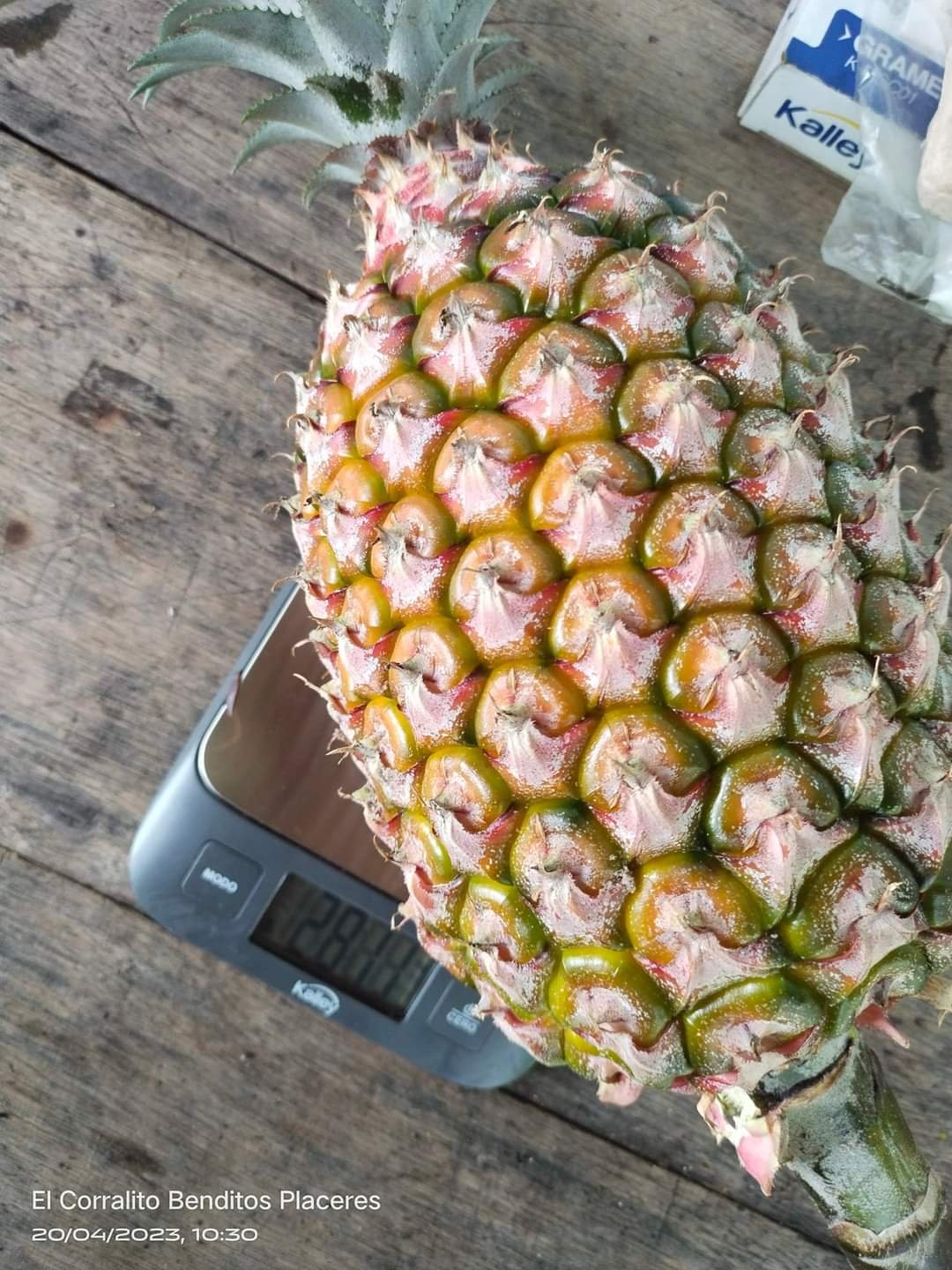 FB_IMG_1698120606464