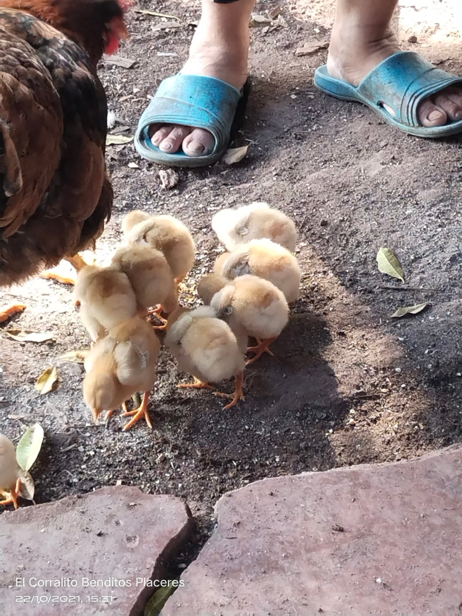 filter: 0; fileterIntensity: 0.0; filterMask: 0; module: h; 
hw-remosaic: 0; 
touch: (-1.0, -1.0); 
modeInfo: ; 
sceneMode: NightHDR; 
cct_value: 0; 
AI_Scene: (-1, -1); 
aec_lux: 206.40543; 
hist255: 0.0; 
hist252~255: 0.0; 
hist0~15: 0.0;