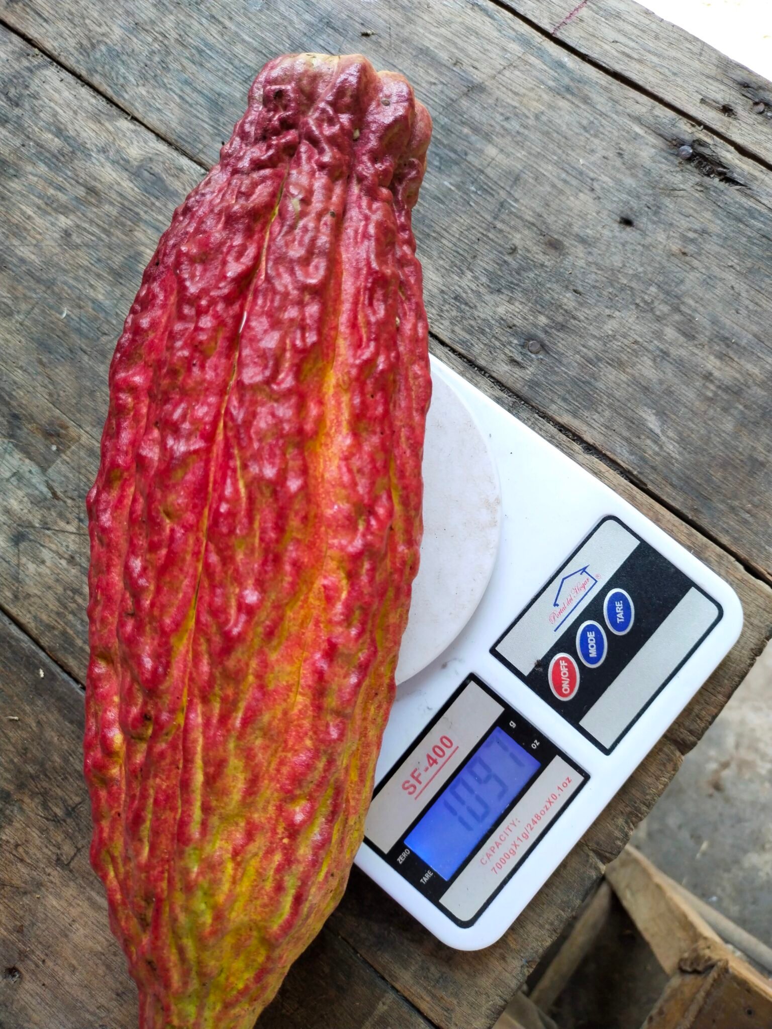 filter: 0; fileterIntensity: 0.0; filterMask: 0; module: h; 
hw-remosaic: 0; 
touch: (-1.0, -1.0); 
modeInfo: ; 
sceneMode: Auto; 
cct_value: 0; 
AI_Scene: (4, -1); 
aec_lux: 192.02333; 
hist255: 0.0; 
hist252~255: 0.0; 
hist0~15: 0.0;