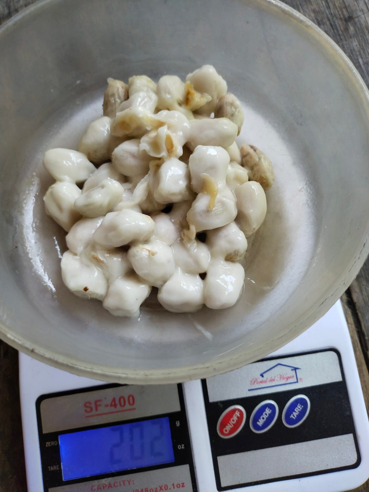 filter: 0; fileterIntensity: 0.0; filterMask: 0; module: h; 
hw-remosaic: 0; 
touch: (-1.0, -1.0); 
modeInfo: ; 
sceneMode: Auto; 
cct_value: 0; 
AI_Scene: (-1, -1); 
aec_lux: 172.90704; 
hist255: 0.0; 
hist252~255: 0.0; 
hist0~15: 0.0;