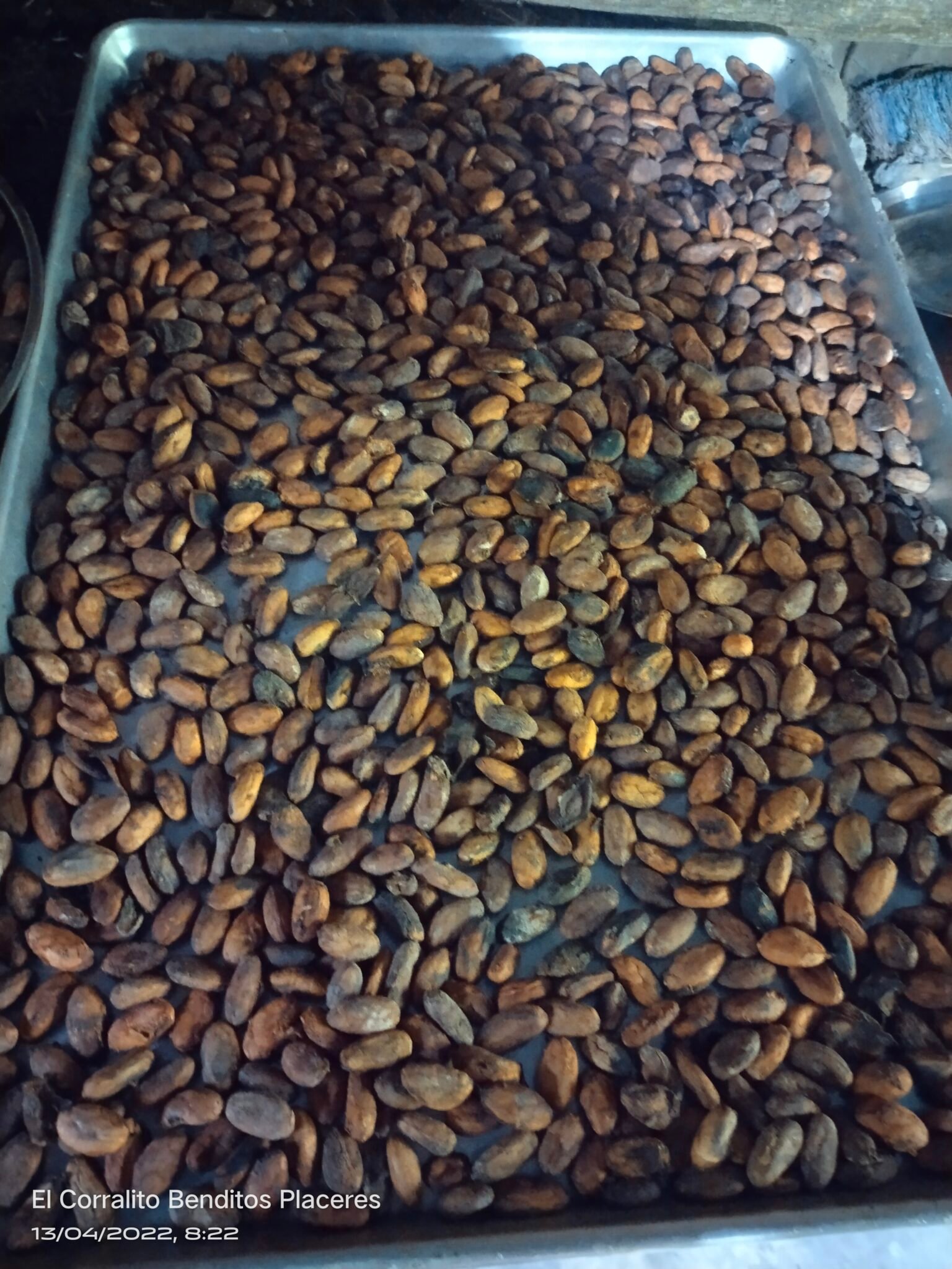 filter: 0; fileterIntensity: 0.0; filterMask: 0; module: h; 
hw-remosaic: 0; 
touch: (-1.0, -1.0); 
modeInfo: ; 
sceneMode: Night; 
cct_value: 0; 
AI_Scene: (-1, -1); 
aec_lux: 397.95026; 
hist255: 0.0; 
hist252~255: 0.0; 
hist0~15: 0.0;