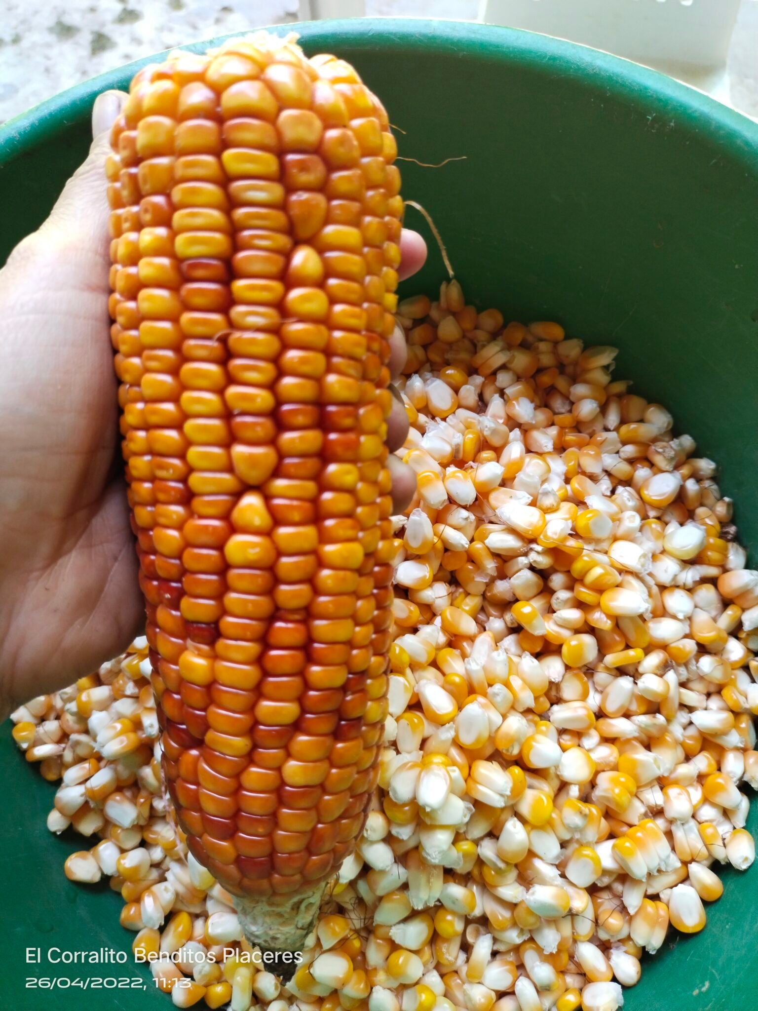 filter: 0; fileterIntensity: 0.0; filterMask: 0; module: h; 
hw-remosaic: 0; 
touch: (-1.0, -1.0); 
modeInfo: ; 
sceneMode: NightHDR; 
cct_value: 0; 
AI_Scene: (-1, -1); 
aec_lux: 218.78143; 
hist255: 0.0; 
hist252~255: 0.0; 
hist0~15: 0.0;