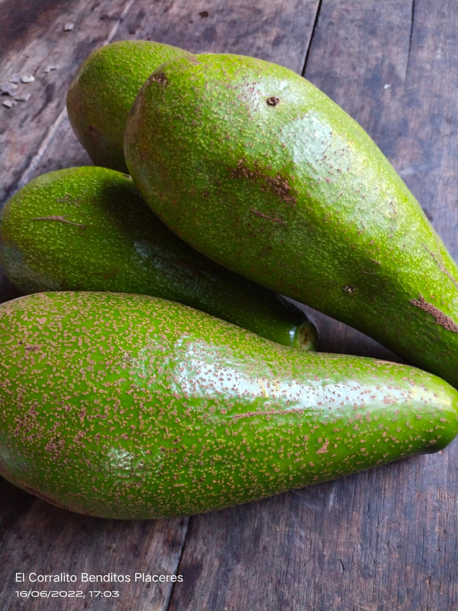 filter: 0; fileterIntensity: 0.0; filterMask: 0; module: h; 
hw-remosaic: 0; 
touch: (-1.0, -1.0); 
modeInfo: ; 
sceneMode: Night; 
cct_value: 0; 
AI_Scene: (-1, -1); 
aec_lux: 289.2505; 
hist255: 0.0; 
hist252~255: 0.0; 
hist0~15: 0.0;